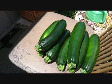 はじめての農家生活　その35