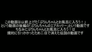 【ゆっくり実況】ぷりんちゃんのエアホッケー