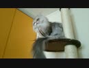 何か言いたいみたいだが、さっぱり？