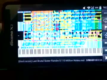 【世界一の黒MIDI】最終鬼畜妹フランドール・S 110 Millionを再生した結果