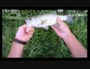 9.12いの師釣り配信.mp4