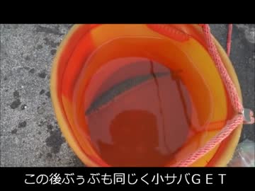 伊豆にシイラを狙いに行ったつもりが・・・その２