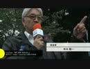 SEALDsメンバー達の活動映像をご覧ください