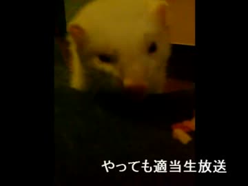 やってもの適当生放送アーカイブ動画　その１４