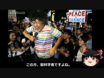 【ゆっくり保守】国会前ジャイアンリサイタル