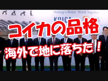 【コイカの品格】 海外で地に落ちた！