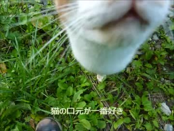 ベンリィで若杉楽園キャンプ場へ