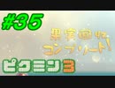 【実況】 ピクミンを食べない主人公たち 【完全初見】 part35