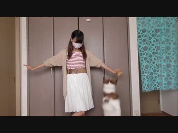 【踊ってみた】Gravity=Reality【山菜*】
