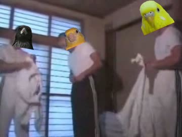 鳥類空手部