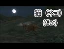 【GTA5】動物図鑑「ネコ」【PS4】