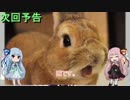 【Borderlands:PS】ご注文はハンサムですか？第６羽【4人実況】