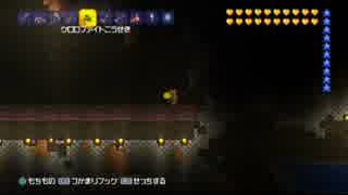 【テラリア】日刊・テラリア実況　その８５６【公式企画参加】