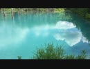 【癒し系】　青い池③　北海道　【絶景】　Blue pond
