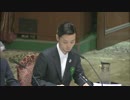 H27/9/15 参議院平和安全特別委中央公聴会【公述人・奥田愛基（SEALDs）】