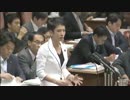 H27/9/15 参議院平和安全特別委中央公聴会・蓮舫【公述人質疑】