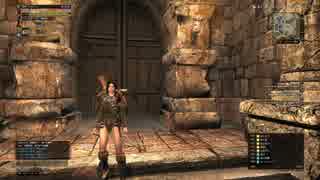 【実況】DDONでひと狩りいこうぜ！【ドラゴンズドグマオンライン】＃２１