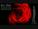 【UTAUカバー】Rose + Thorn【穂歌ソラ】