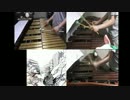 Shutterを鍵盤打楽器(マリンバ・ヴィブラフォン)で演奏してみた。