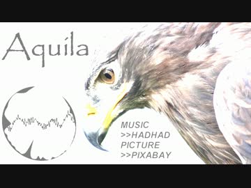 【NNI】アクイラ【オリジナル曲】