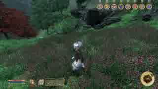【OBLIVION】伝説のミニマム勇者の物語　その１４