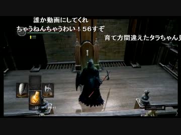 【ファルコン竹田】乙女竹田