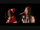 【Live】「タイガー★ナイト」【秘密サークルタイガーマシーン】