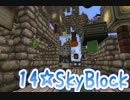 SkyBlock～島は破壊されるもの～No.14