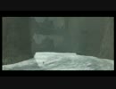 ゼルダの伝説 わんこ物語 実況プレイ Part21