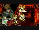 【戦国大戦】　燃え上がれ三河武士！その12　vs蝮の大筒防衛　【正四Ｄ】