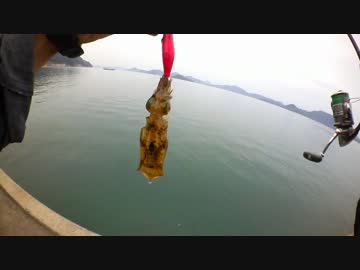 エギングのススメ　part1