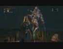【Bloodborne】ぶらり初見旅 聖杯編part17【実況】