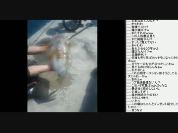 [2015.09.15]永井先生 雑談配信(4/4)