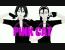 箱学クライマーズでPiNK CAT