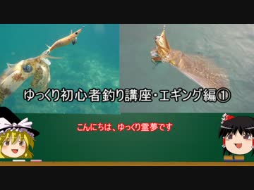 ゆっくりの初心者釣り講座・エギング編①