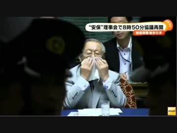 安保法案 参院特別委 総括質疑行われず