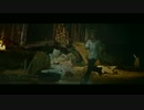 (HD)＜PV＞ Steve Angello ft. Mako - Children Of The Wild