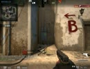 ゴキブリと一緒にＣＳＧＯプレイ