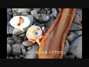 ニート、旅をする【105日目】