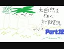 【ポケモンORAS】大自然を往く対戦実況Part.12