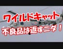 【ワイルドキャット】 不良品は返すニダ！
