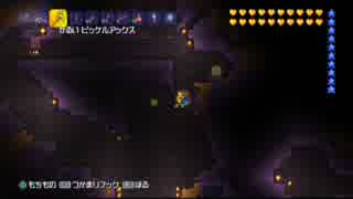 【テラリア】日刊・テラリア実況　その８５８【公式企画参加】