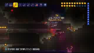 【テラリア】日刊・テラリア実況　その８６０【公式企画参加】
