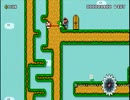 ｸﾘｱ率0.1%以下を目指すマリオをクリア率1%以上にする為の動画