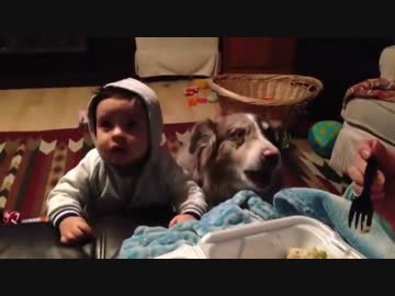 犬にママって呼ばれた
