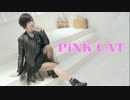 【れいちぇる】PiNK CAT 踊ってみた【おまけもあるよ】