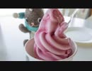 ウサチョフ、北海道へ行くっ！2015　第6回 『青い池と リスっこ！』