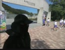小学生にシャムを布教する黒騎士