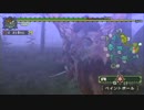【MHP】今だから振り返る約10年前のモンハンを見ていく　～ part 20 ～