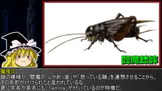 ゆっくり霊夢とやる夫が学ぶ 昆虫大百科 part24